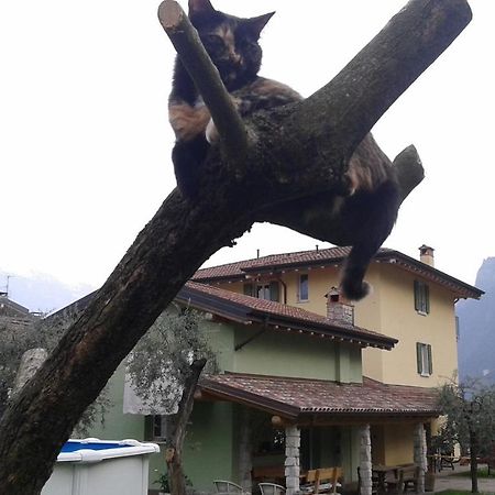 Casavarone Riva del Garda Kültér fotó