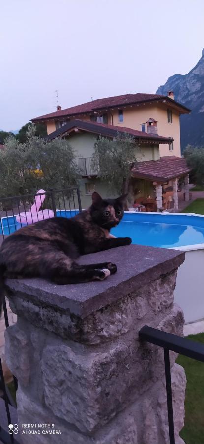 Casavarone Riva del Garda Kültér fotó