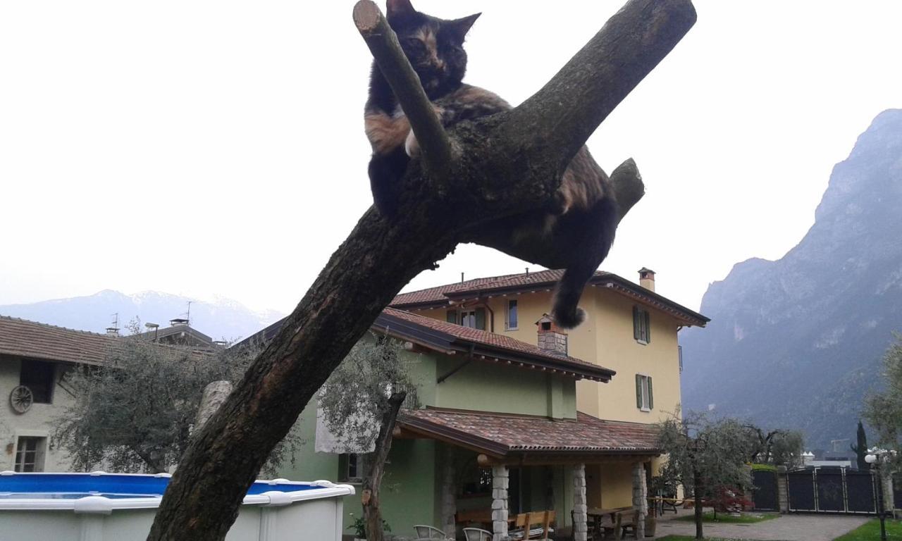 Casavarone Riva del Garda Kültér fotó